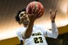 Webb's Keon Johnson (23) goes up for a shot during Webb's game against Tipton-Rosemark in the semifinal round of the TSSAA Division II Class A State Championships at Lipscomb University's Allen Arena in Nashville on Friday, March 1, 2019.