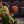 LOS ANGELES, CA - FEBRUARY 22: Chris Duarte #5 of the Oregon Ducks saves a ball while playing the USC Trojans in the first half at Galen Center on February 22, 2021 in Los Angeles, California.