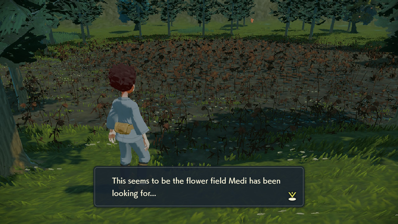 The flowerbed where Shaymin is located in Pokémon Legends: Arceus