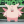 Clefable