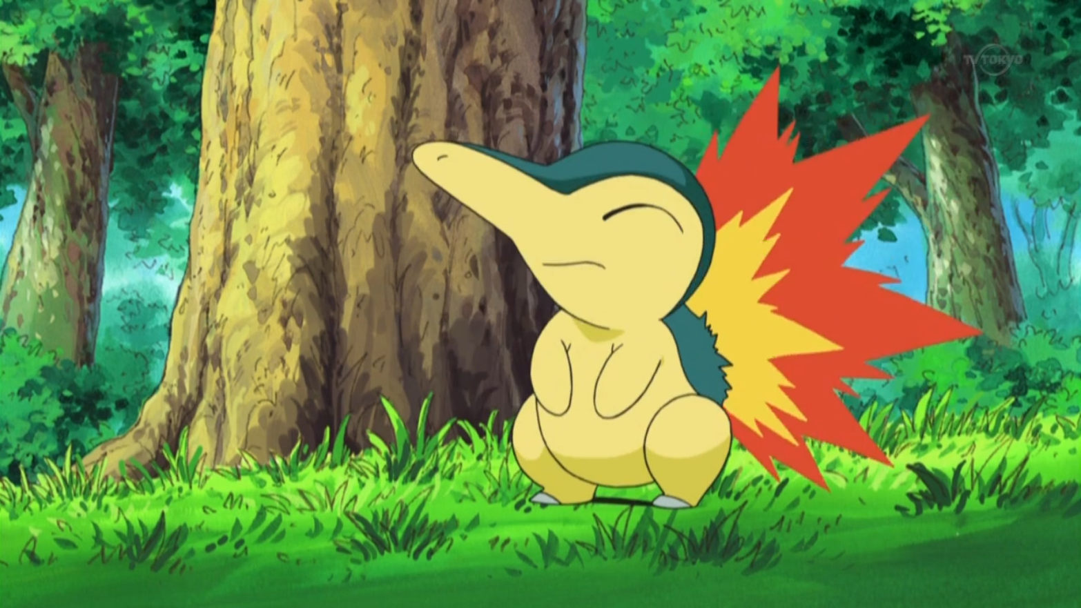 Cyndaquil looking happy in the Pokémon anime