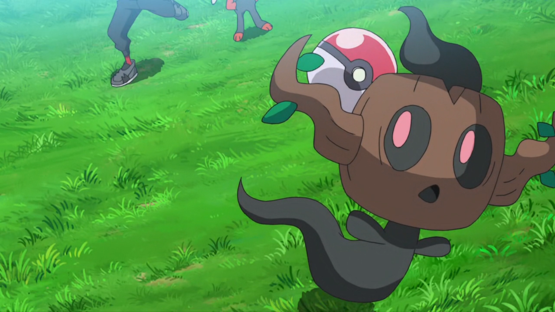 Goh's Phantump in the Pokémon anime