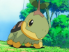 Turtwig from Pokemon