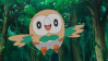 Rowlet from Pokemon