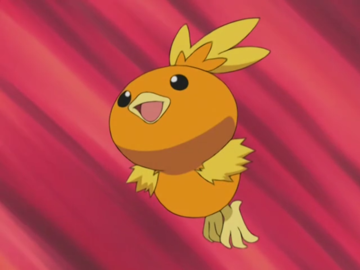 Torchic from Pokemon