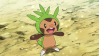 Chespin in Pokemon