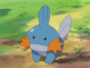 Mudkip from Pokemon