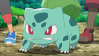 Bulbasaur from Pokemon