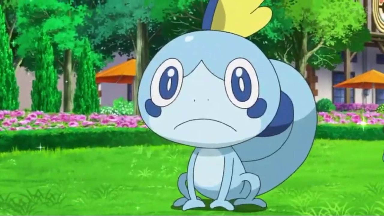 Sobble from Pokémon