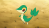 Snivy from Pokemon