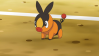 Tepig from Pokemon