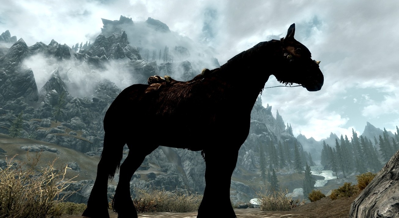 A horse in Skyrim