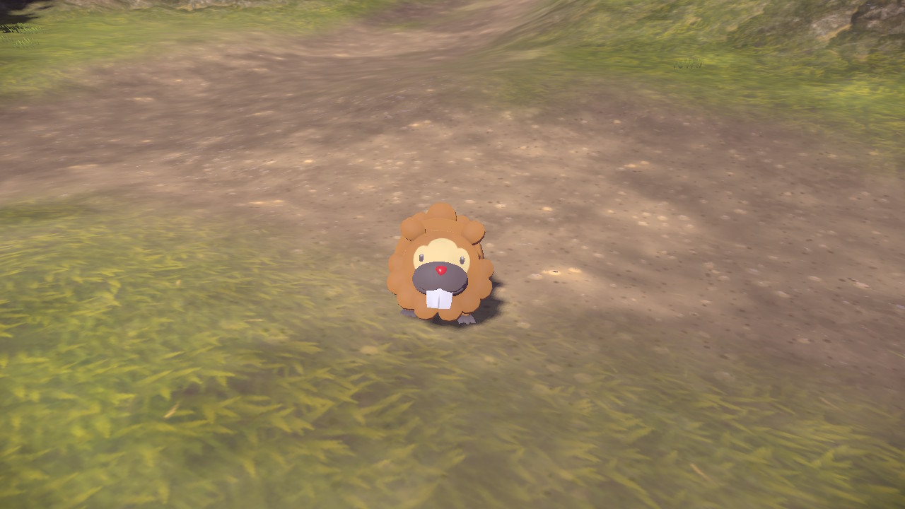 Bidoof