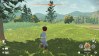 pokemon-legends-arceus-wood
