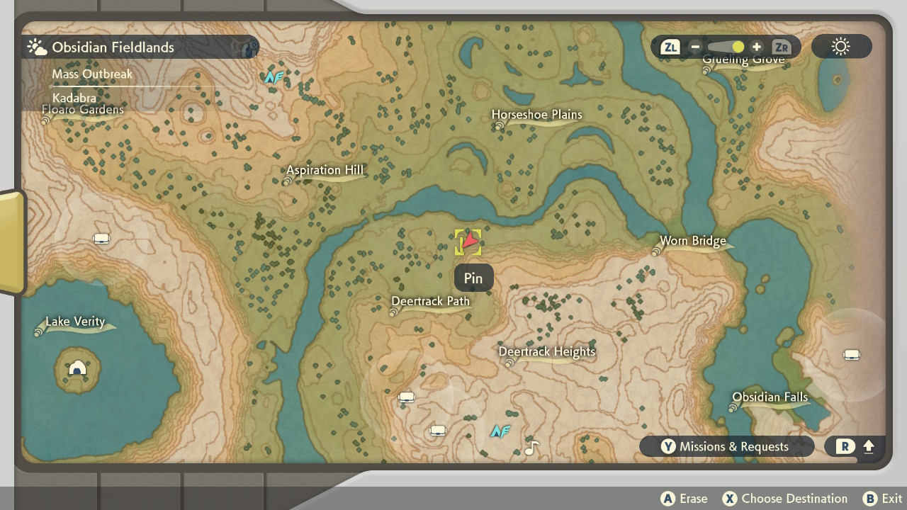 Wood location in Pokémon Legends: Arceus