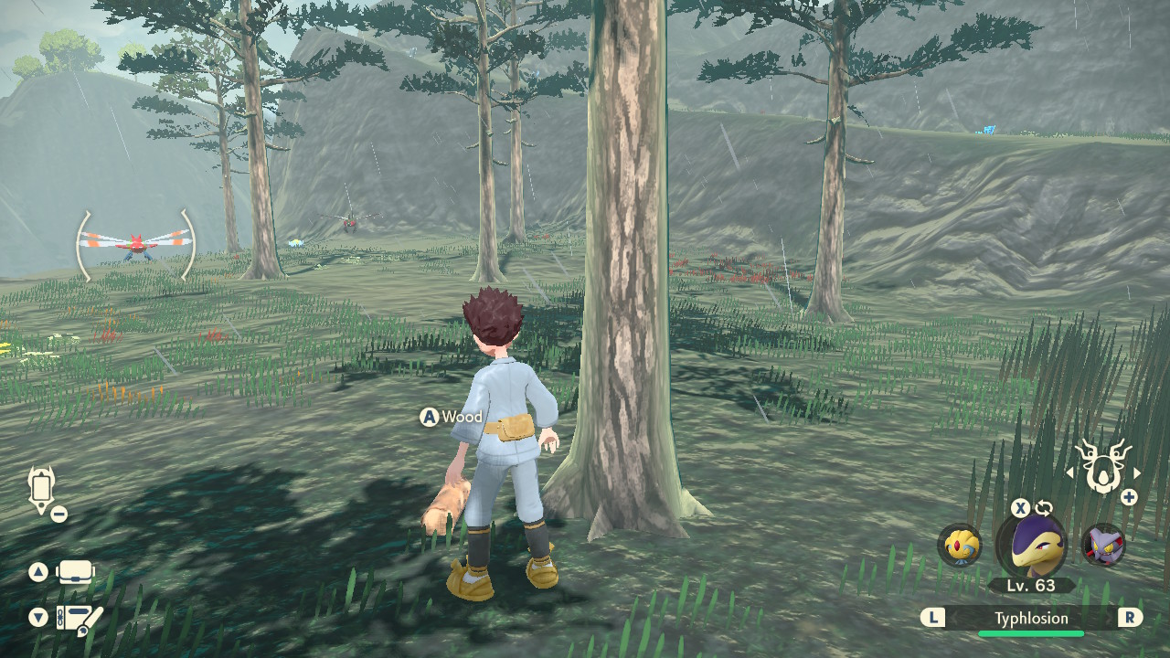 Wood location in Pokémon Legends: Arceus