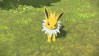 Jolteon