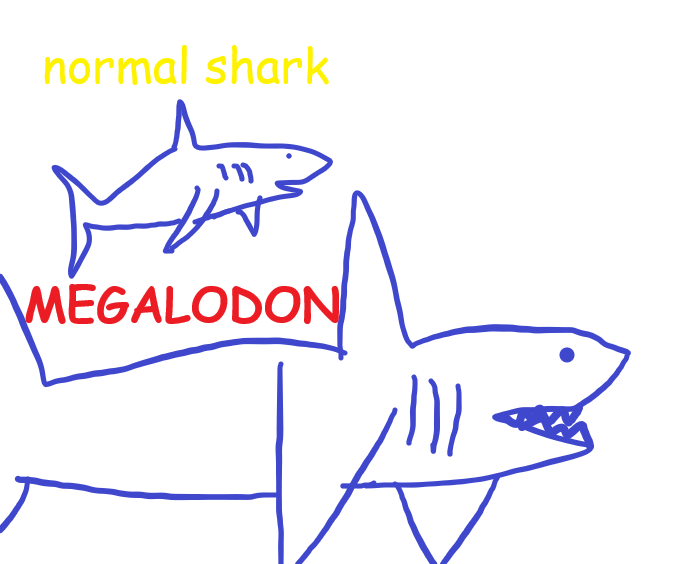 A rough comparison of a normal shark and a megalodon