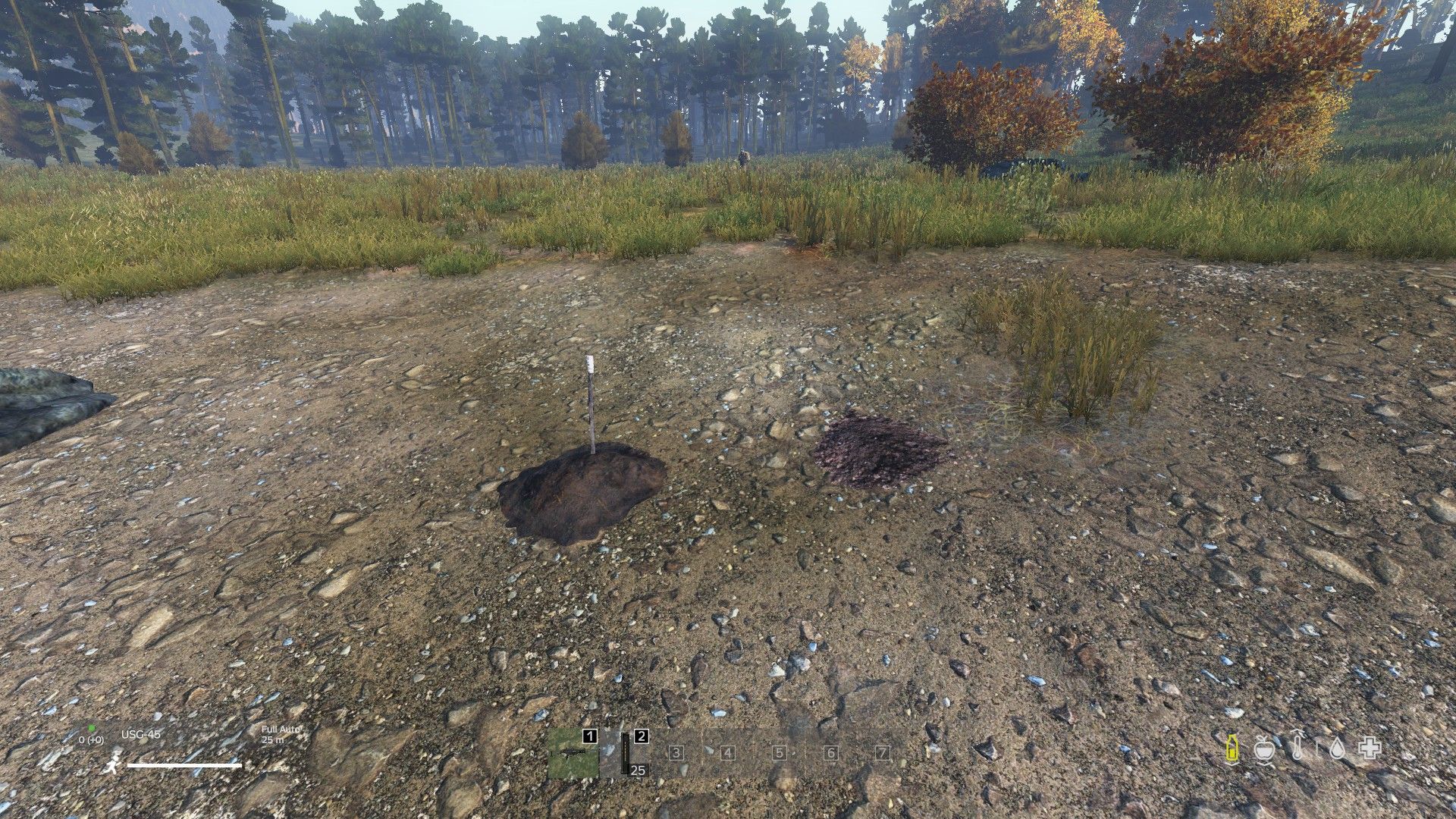 DayZ Buried Stash
