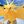 Pokemon Zapdos