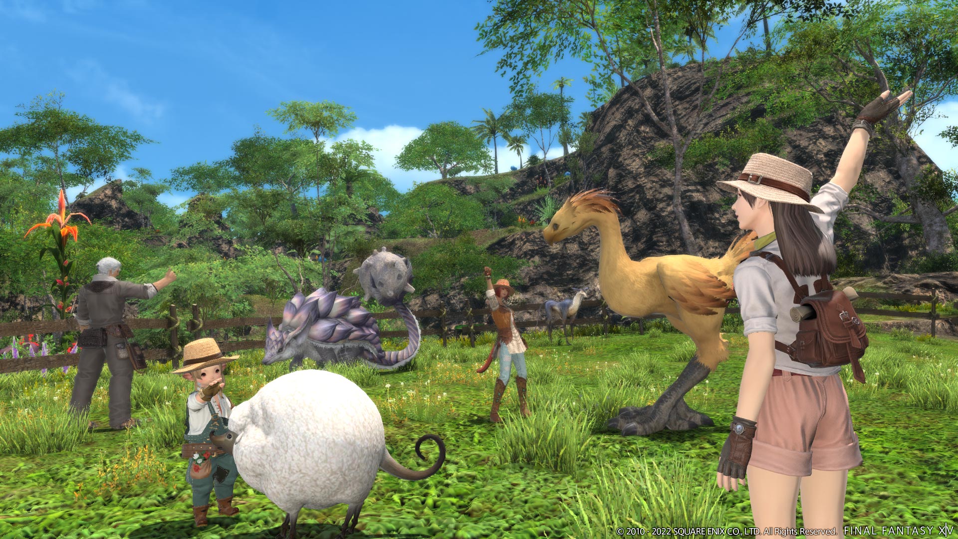 Island Sanctuary 2