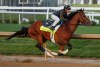 A jockey racing on a horse.