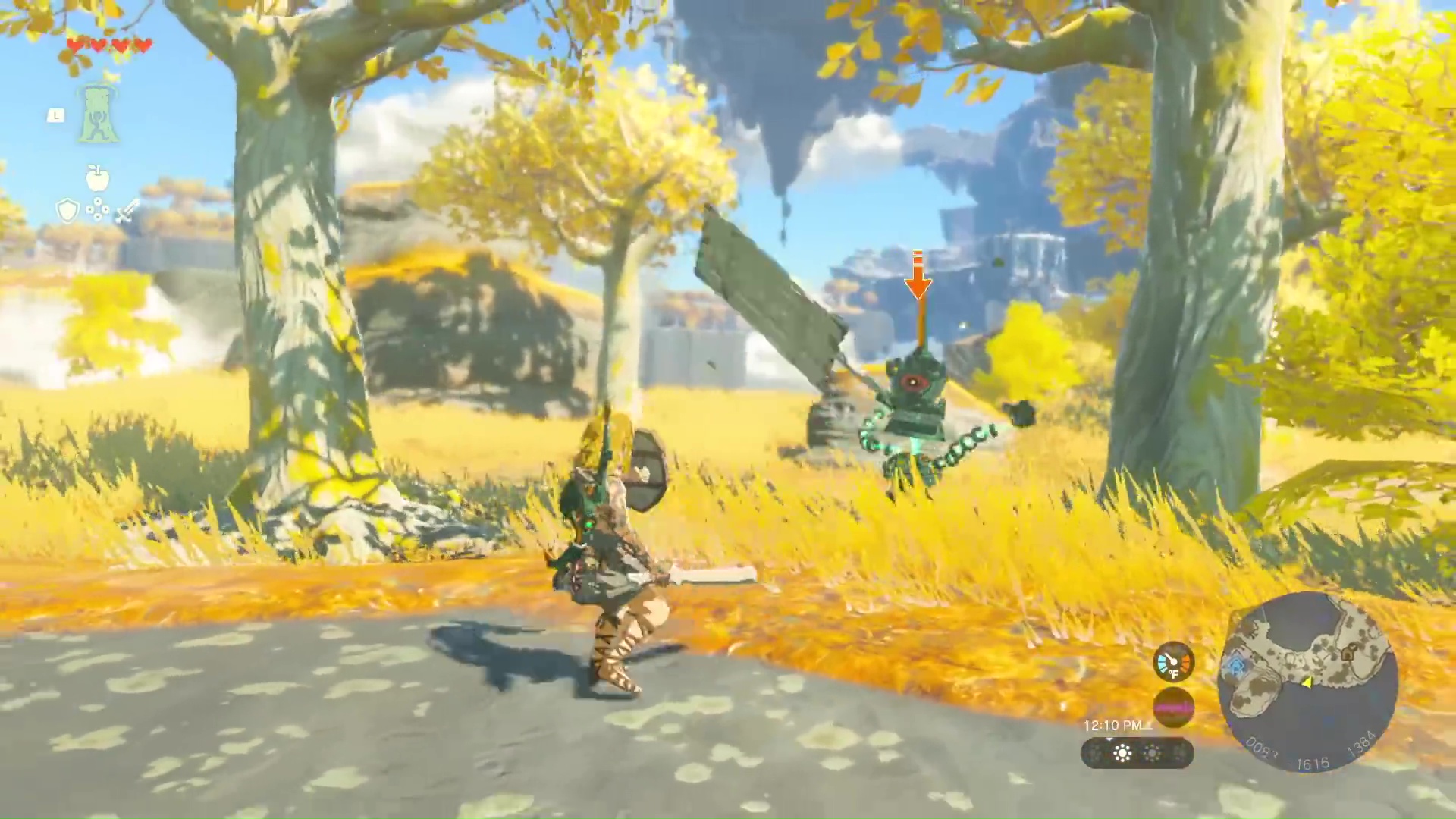Zelda Tears of the Kingdom enemy fight