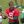 Florham Park, NJ May 31, 2023 -- Aaron Rodgers with Michael Carter and Jason Brownlee during the Jets OTA.