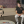 Tom Brady sits alone with a dog during ManningCast mock auditions