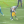 Steelers' Keanu Neal roughing the passer penalty vs. Jaguars' Trevor Lawrence, Week 8, 2023