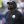 Oct 1, 2023; Houston, Texas, USA; Pittsburgh Steelers head coach Mike Tomlin during the game against the Houston Texans at NRG Stadium.