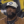 Mike Tomlin during Thursday Night Football, Steelers-Titans, Week 9, 2023